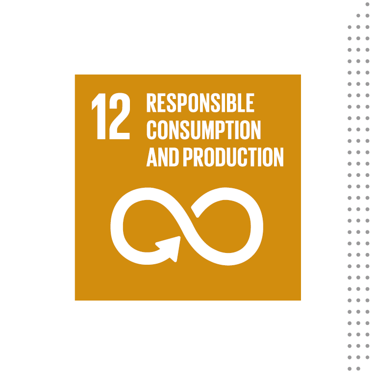 Supporting responsible consumption and production patterns